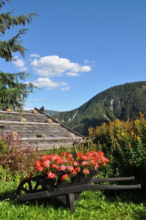 Hofstatthof Villa Campo di Trens Eksteriør bilde